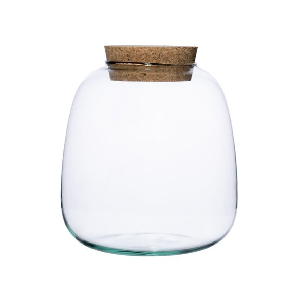 Bowl Shape Medium Terrarium DIY Kit