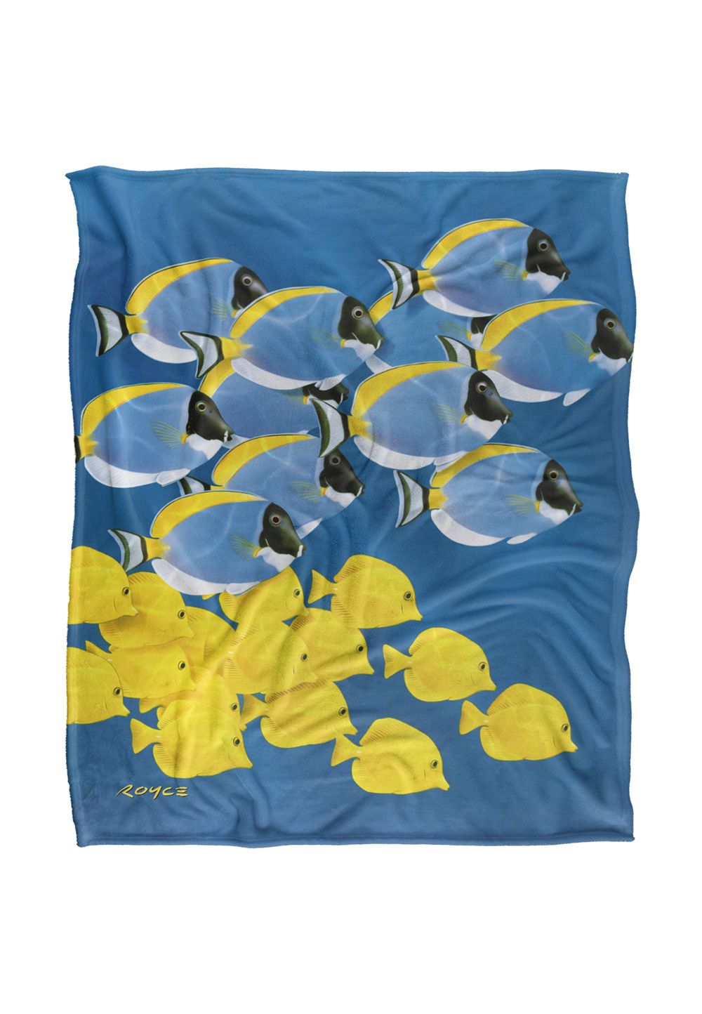 JQ Licensing Royce Mcclure Tang Tropical Fish Silky Touch Super Soft Throw Blanket 152 X 127 cm in White