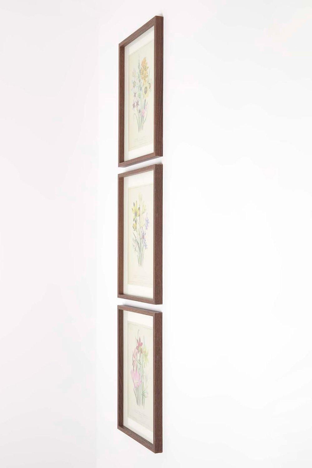 Homescapes Wall Decoration Set of 3 Frames with Picture, Wildflowers 5