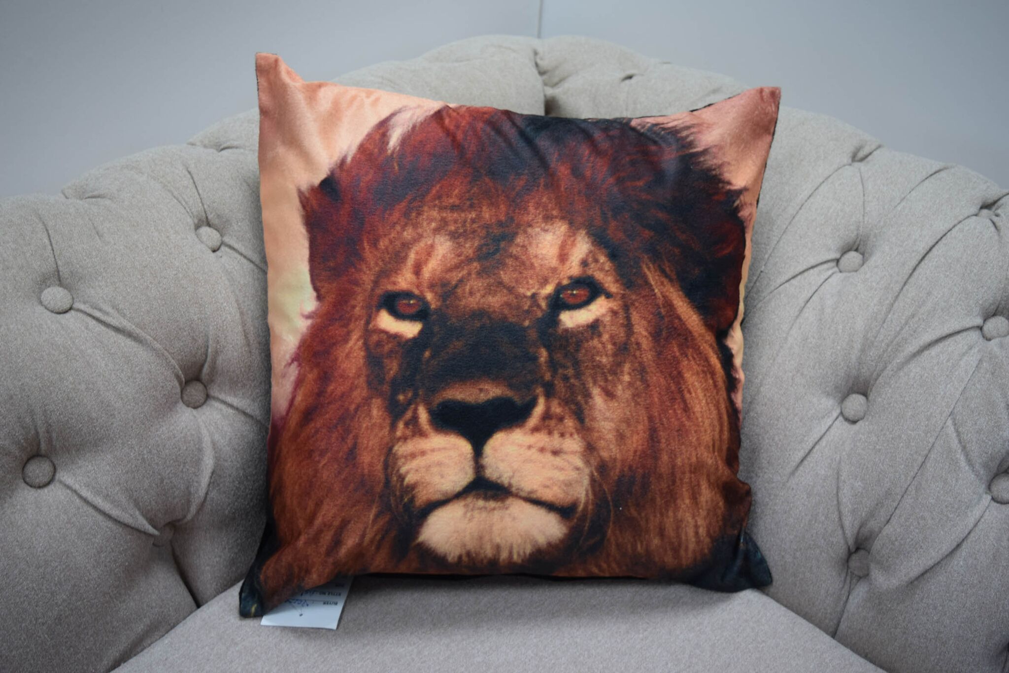 Rapport Home Aslan Lion Polyester Cushion Cover (43x43) Multicolor
