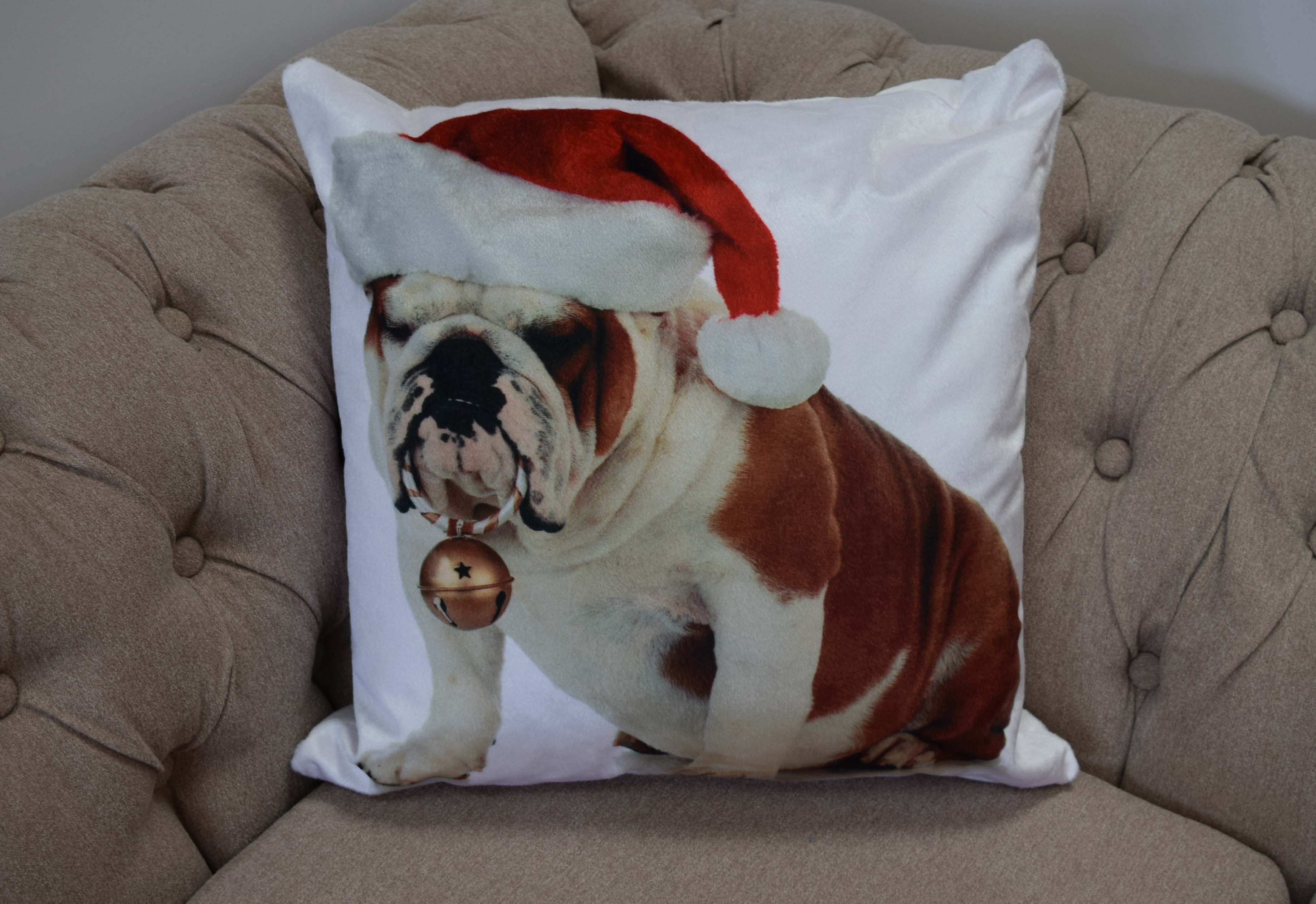 Rapport Home Bulldog Bouble Polyester Cushion Cover (43x43) Multicolor