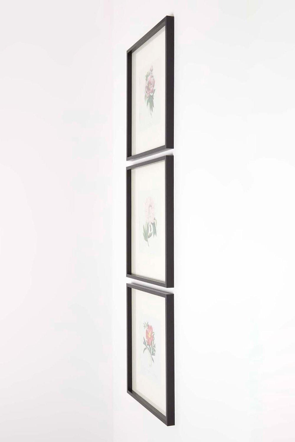 Homescapes Wall Decoration Set of 3 Frames with Picture, Peonies 5