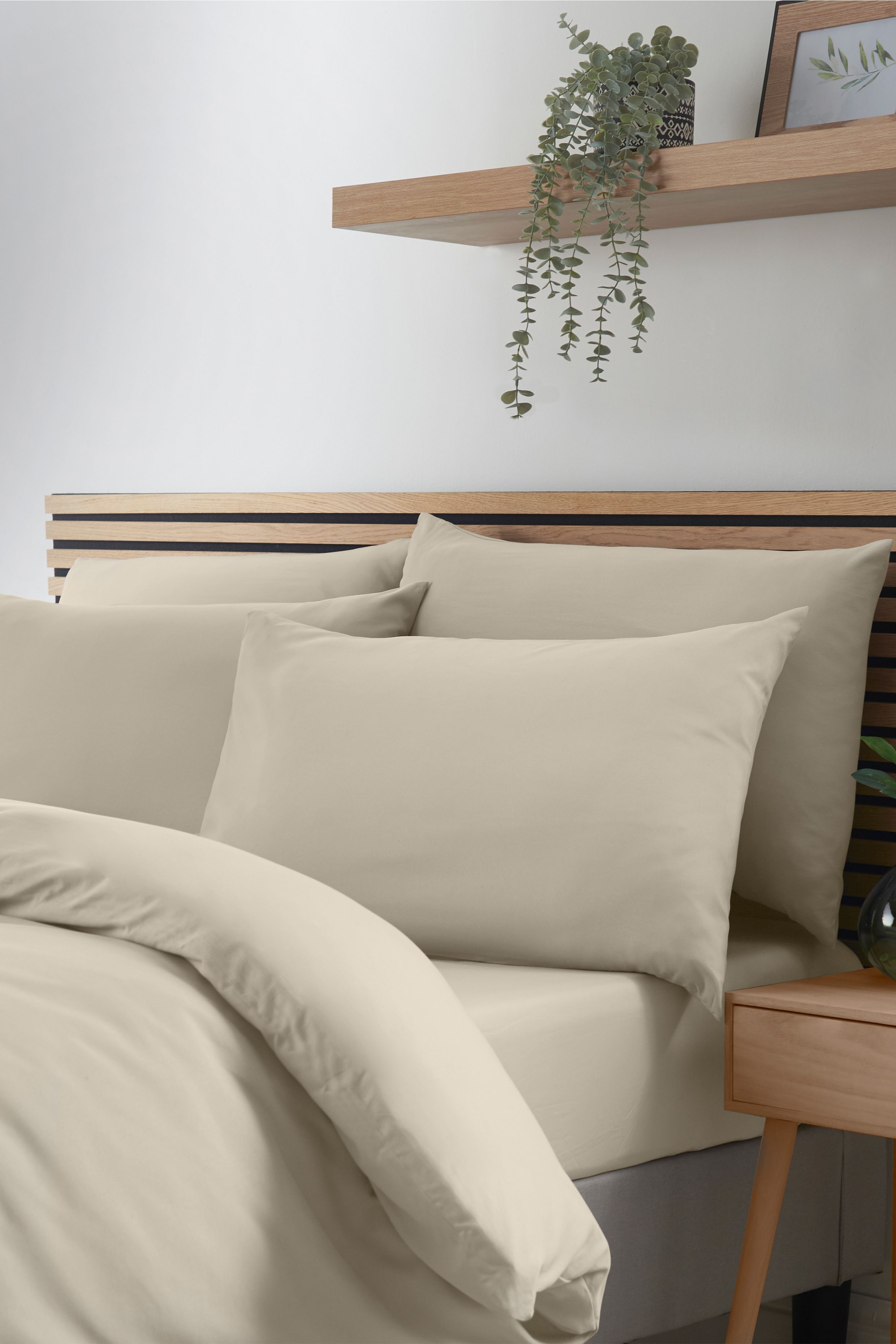 Catherine Lansfield So Soft Non Iron Standard Pillowcase Pack of 4 in Natural