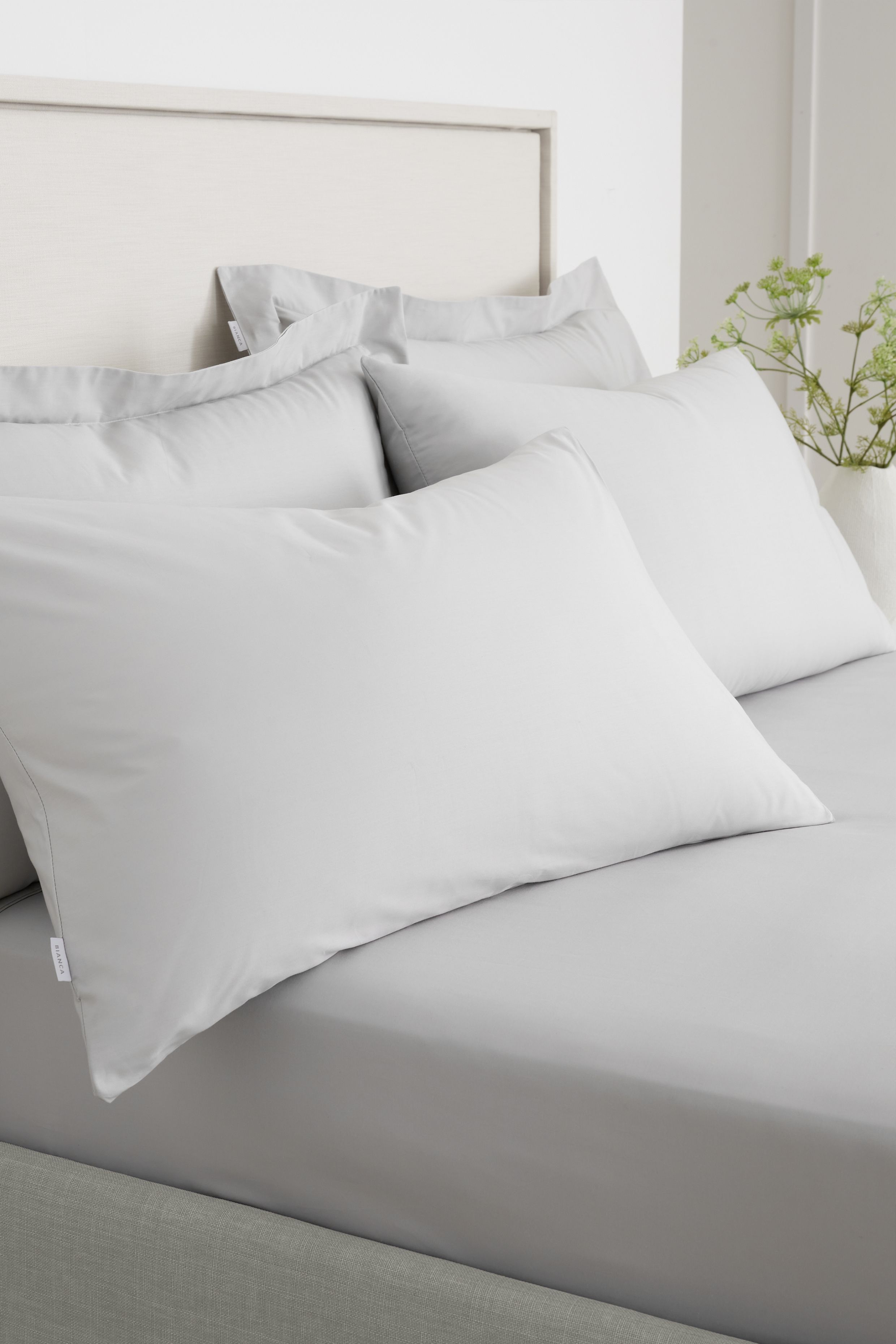 Bianca '200 Thread Count Cotton Percale' Standard Pillowcase Pair in Grey