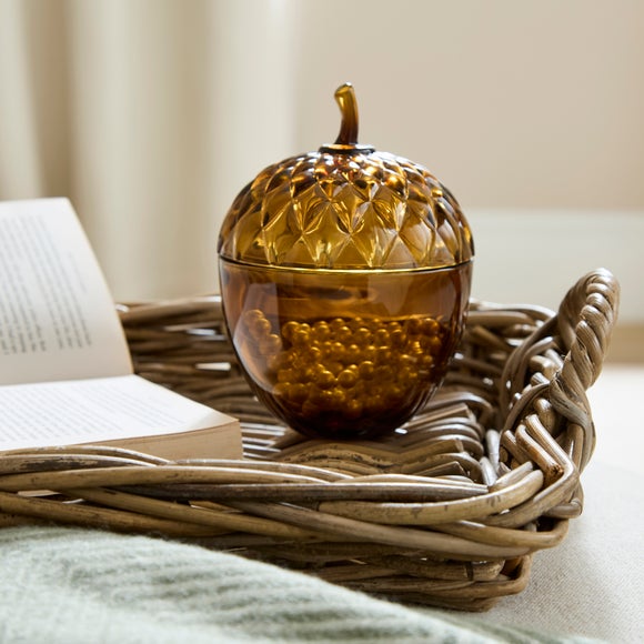 Decorative Acorn Glass Jar