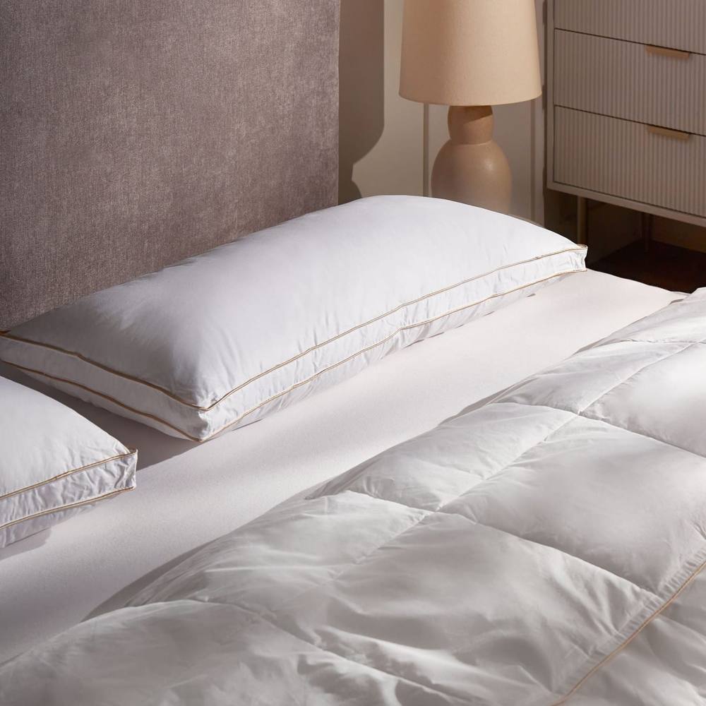 Wyld and Coco White Triple Compartment Down Pillow 40 x 80 cm Cotton Casing