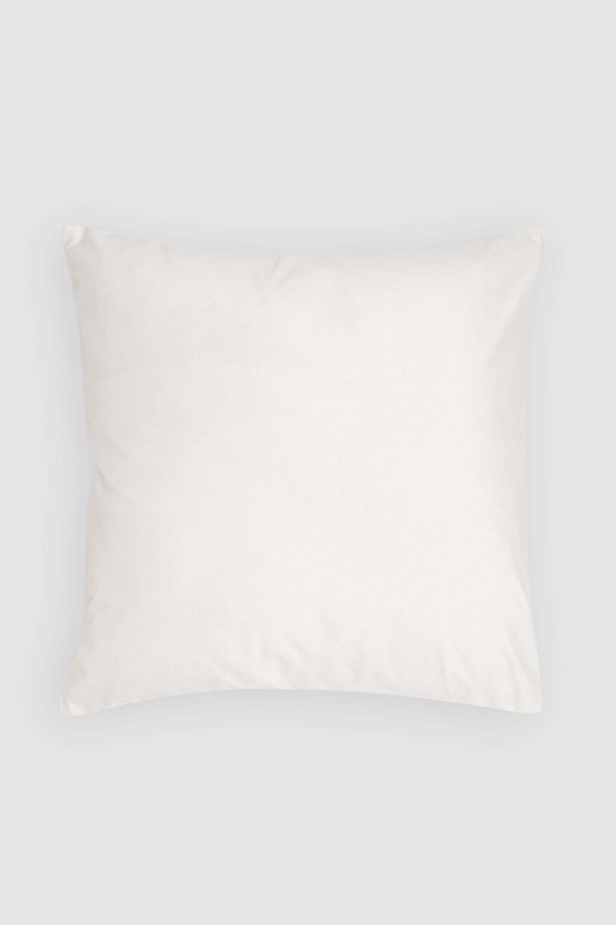 Velvet Cushion