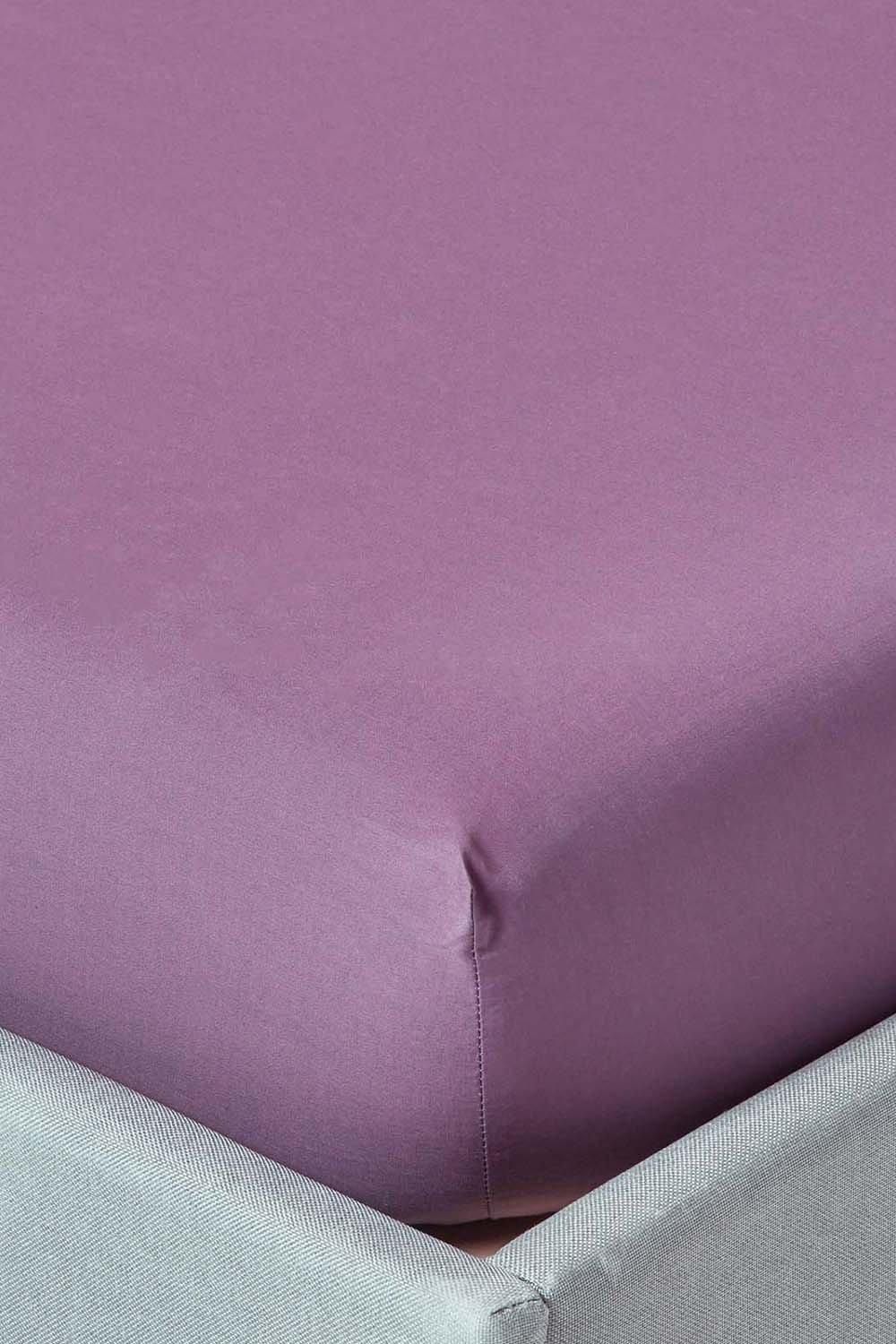 Homescapes Egyptian Cotton Fitted Sheet 12 inch 200 Thread Count in Grape