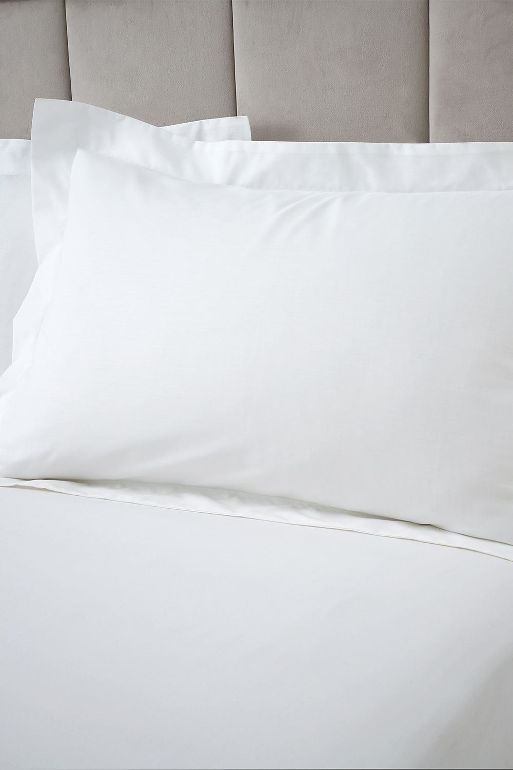 Bianca 180 Thread Count Egyptian Cotton Oxford Pillowcase in White