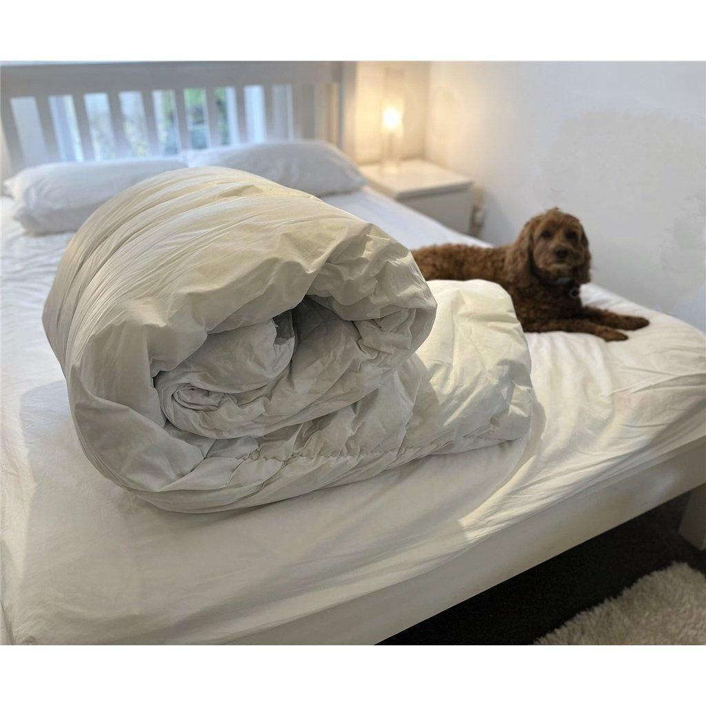 Clifton Easy Care Duvet - 4.5 Tog in White