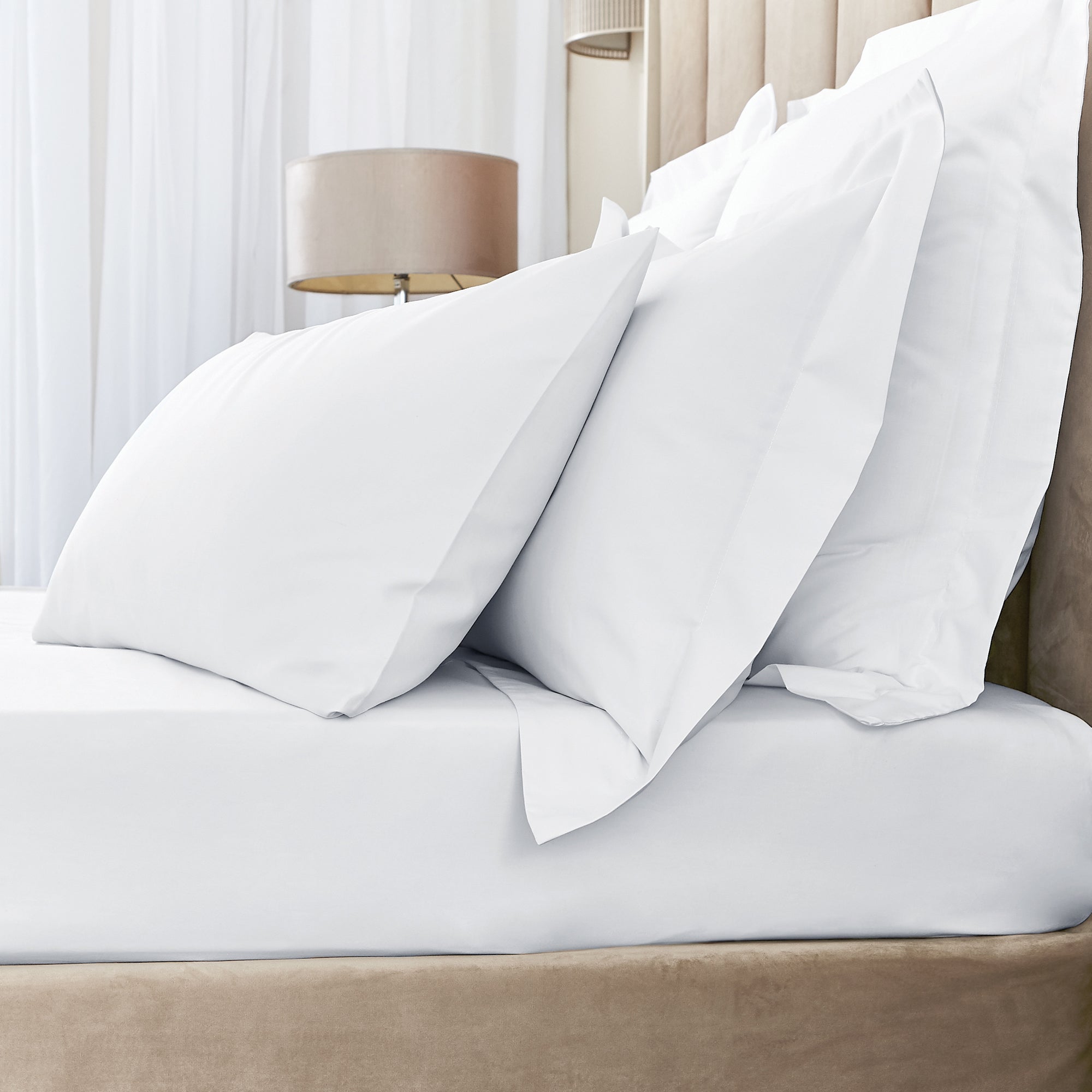 Hotel Egyptian Cotton 230 Thread Count Sateen Fitted Sheet White