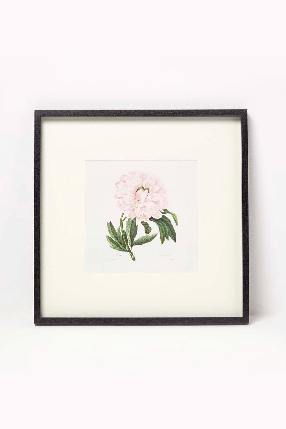 Homescapes Wall Decoration Set of 3 Frames with Picture, Peonies 3
