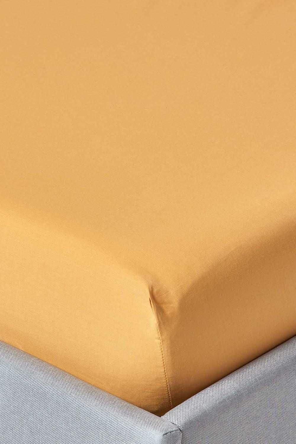 Homescapes Egyptian Cotton Fitted Sheet 12 inch 200 Thread Count in Mustard