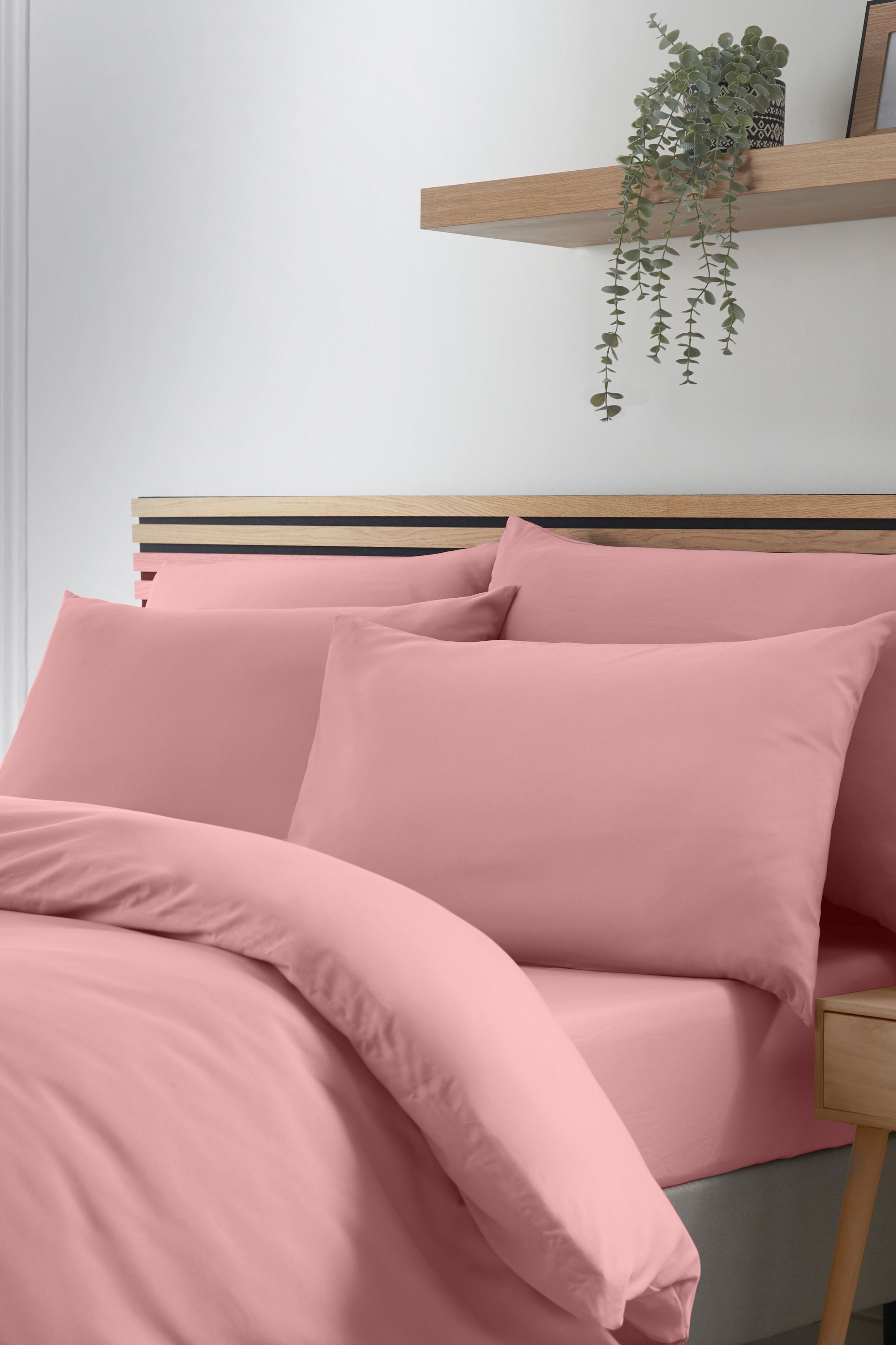 Catherine Lansfield So Soft Non Iron Standard Pillowcase Pack of 4 in Coral