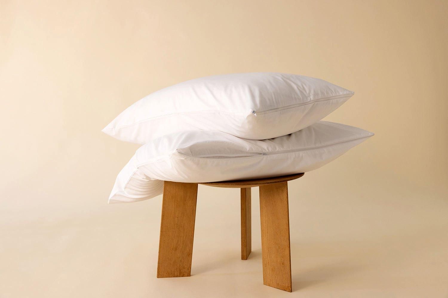 surrey down Goose Feather & Down Continental Pillow in White