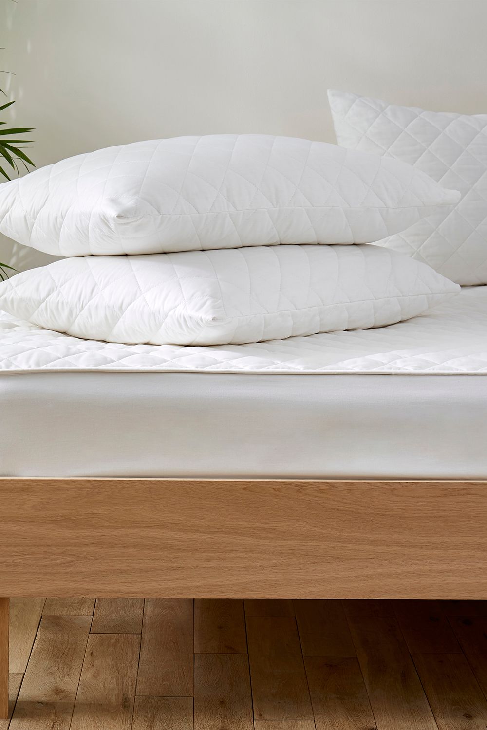 Martex Cotton Quilted Mattress & Pillow Protector Set in White