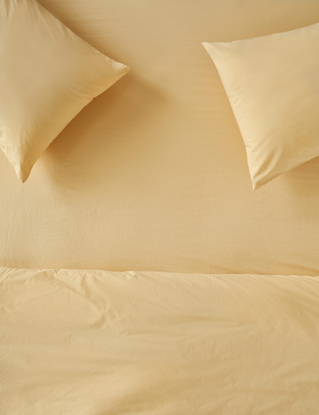 Piglet In Bed Washed Cotton 220 Thread Count Fitted Sheet Yellow