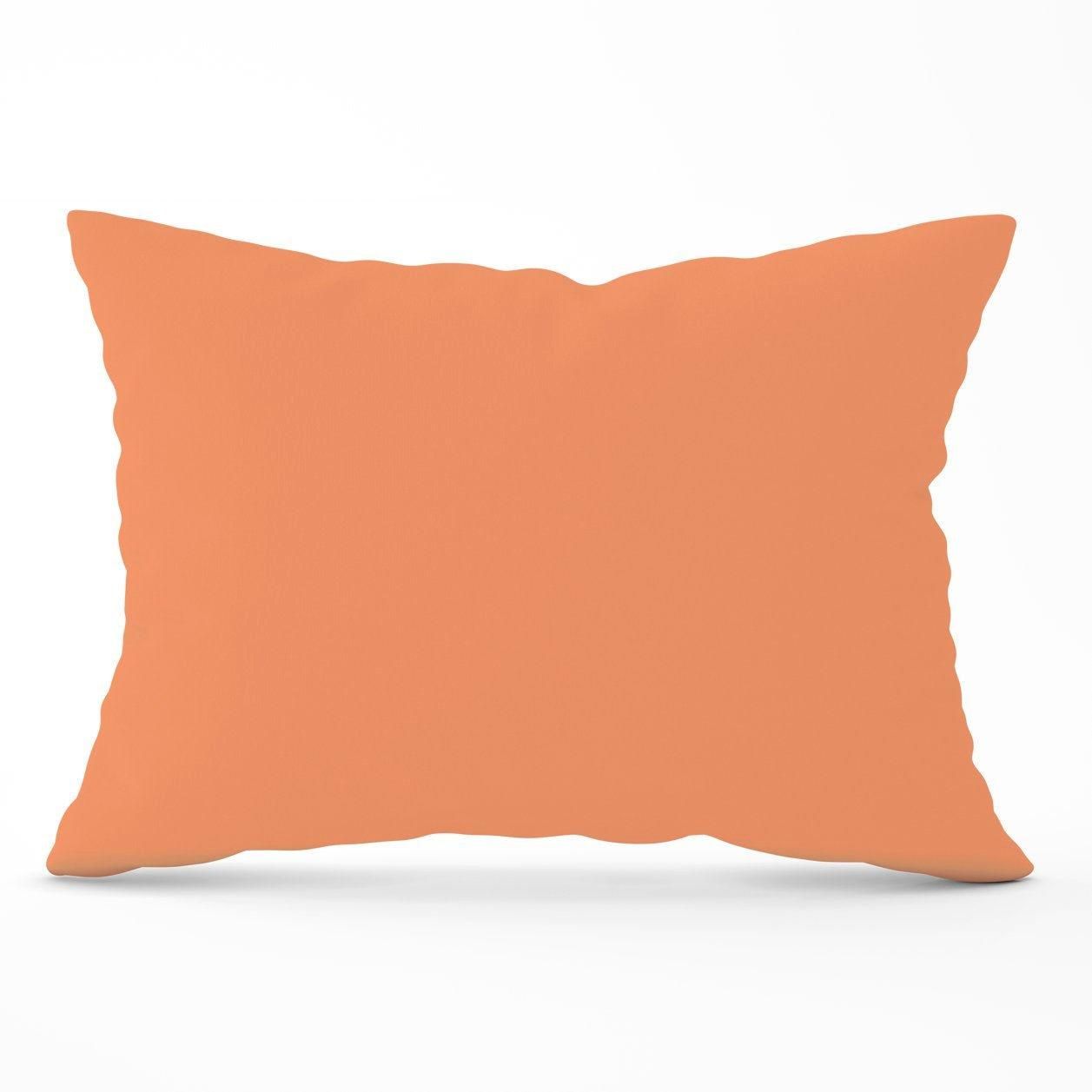 Warren Reed - Designer Faded Orange Cushions