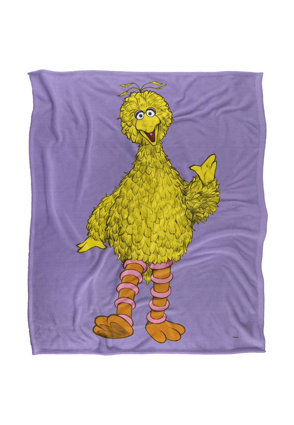 Sesame Street Big Bird Painted Silky Touch Super Soft Throw Blanket 152 X 127 cm in White