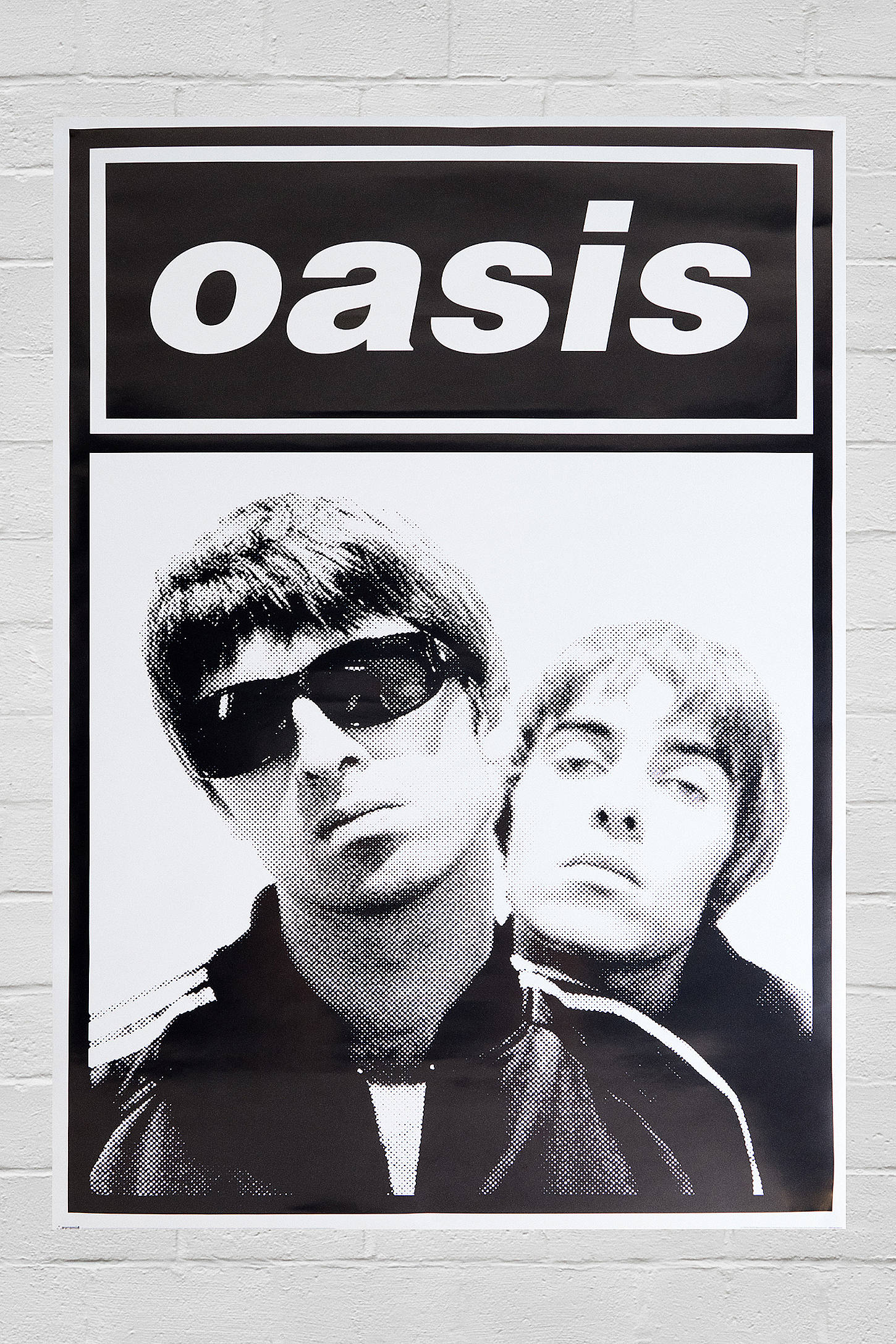 Oasis 60x91cm Wall Art Print