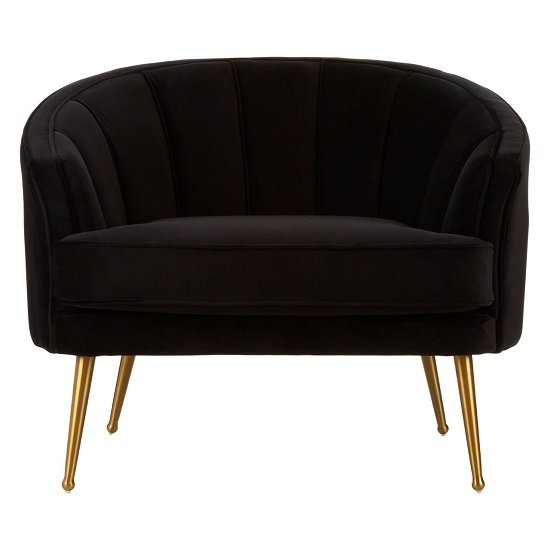Dubhe Velvet Tub Chair In Black With Gold Finish Legs