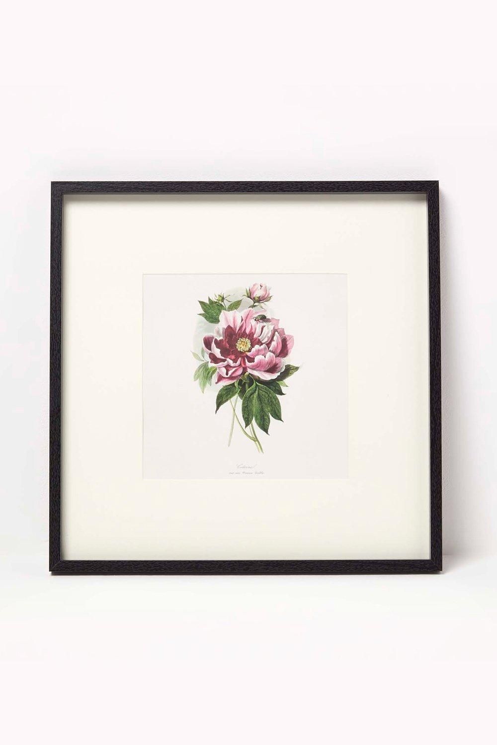 Homescapes Wall Decoration Set of 3 Frames with Picture, Peonies 2