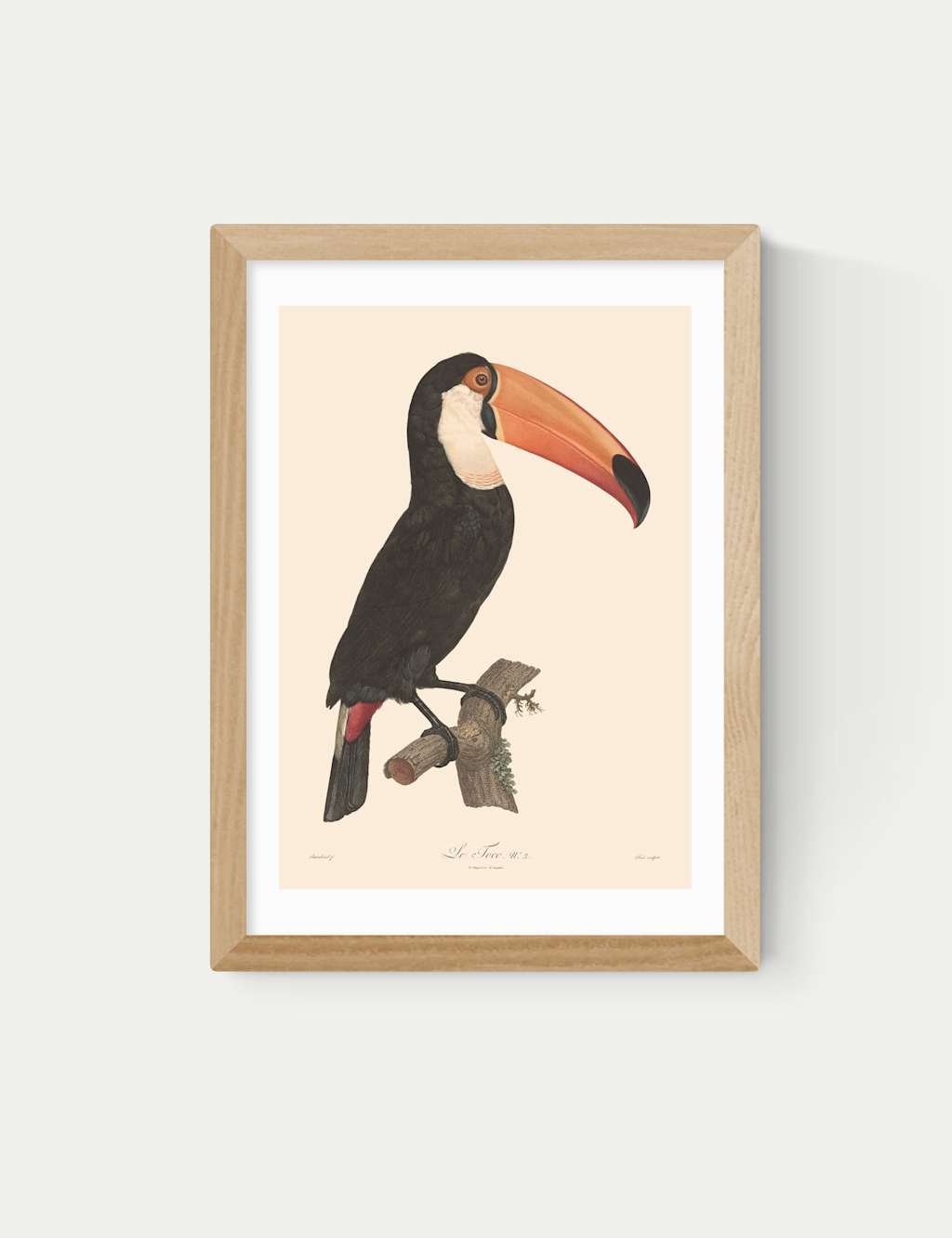East End Prints Toucan by Aster Framed Art Natural