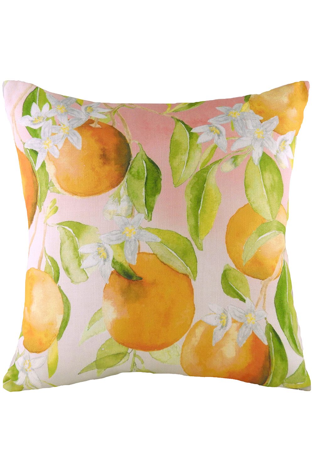 Evans Lichfield Fruit Oranges Hand Painted Watercolour Printed Cushion in Orange