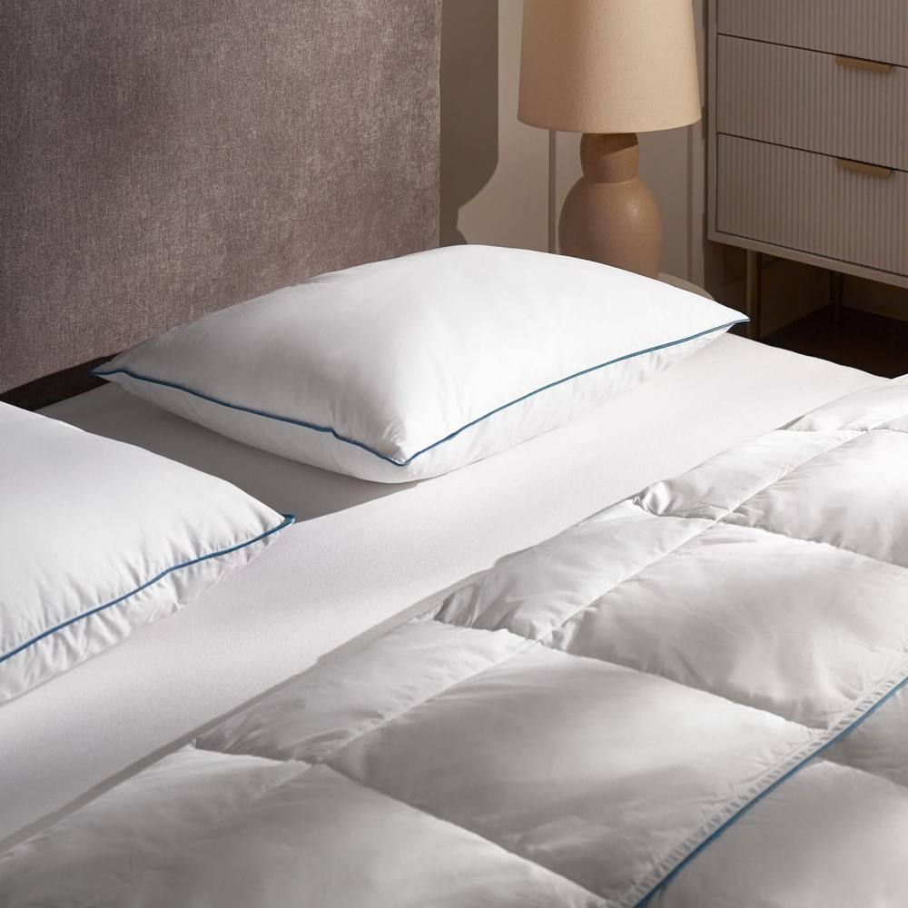 Wyld and Coco Duck Feather and Down Pillow Premium Cotton Casing Medium Support in White