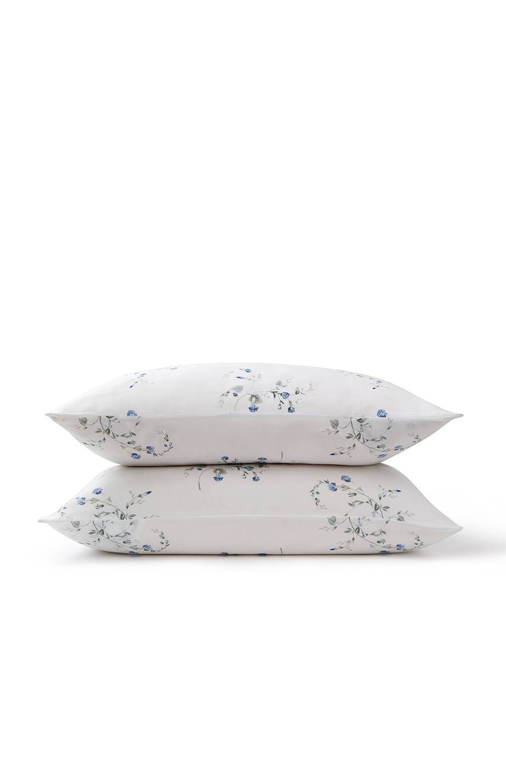 CHRISTY 'Forget Me Not' Wildflower Design Cotton Sateen Standard Pillowcase Pair in Blue 2
