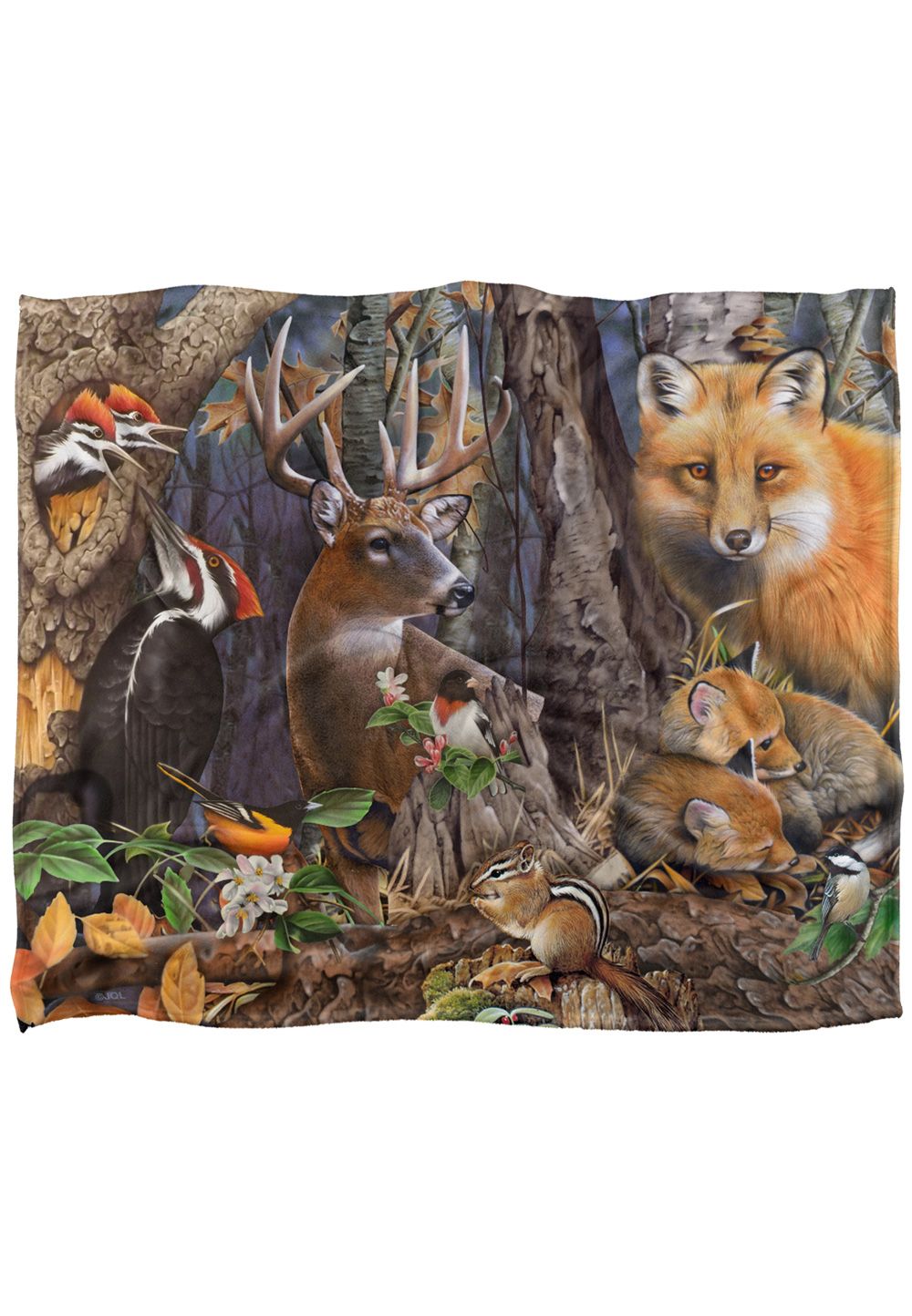 JQ Licensing Jg-Jp Forest Animals Silky Touch Super Soft Throw Blanket 152 X 127 cm in White