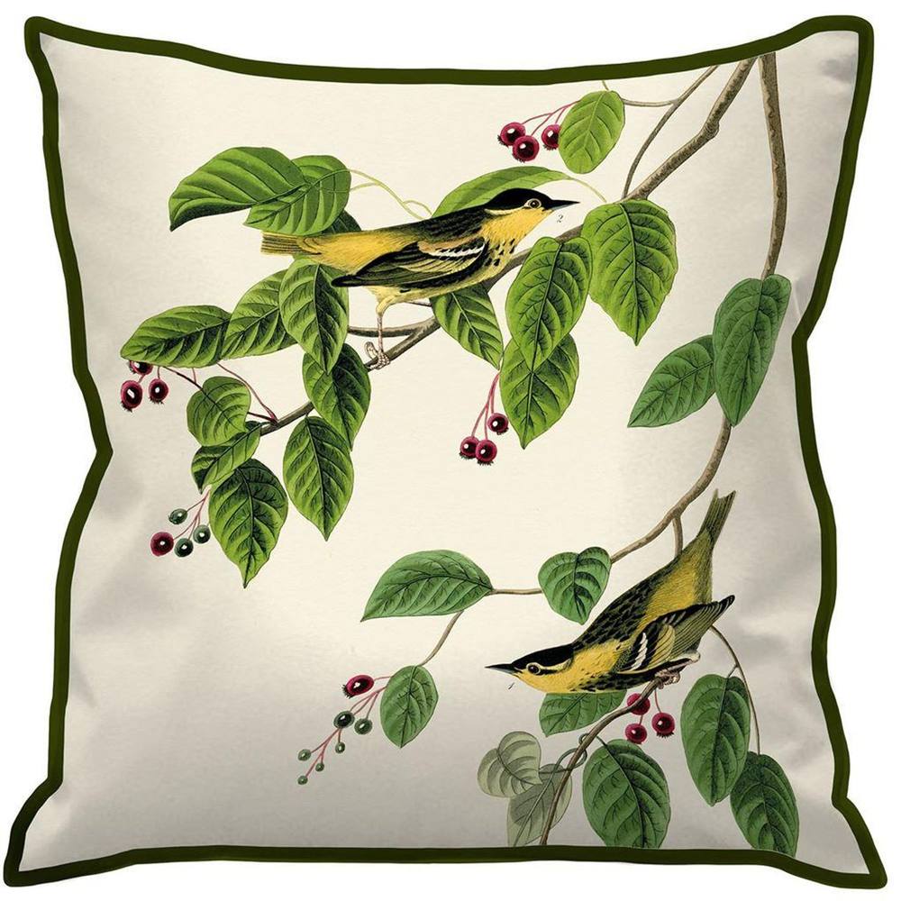 John James Audubon Carbonated Warbler Cushion in White