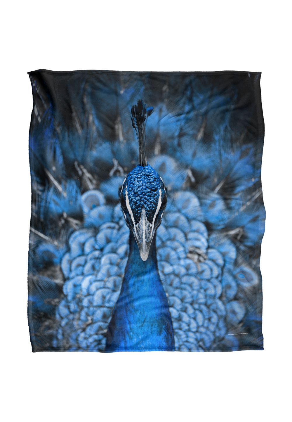 Reinders Peacock Silky Touch Super Soft Throw Blanket 152 X 127 cm in White