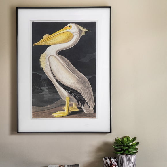 Cedar & Sage Pellicano Framed Print