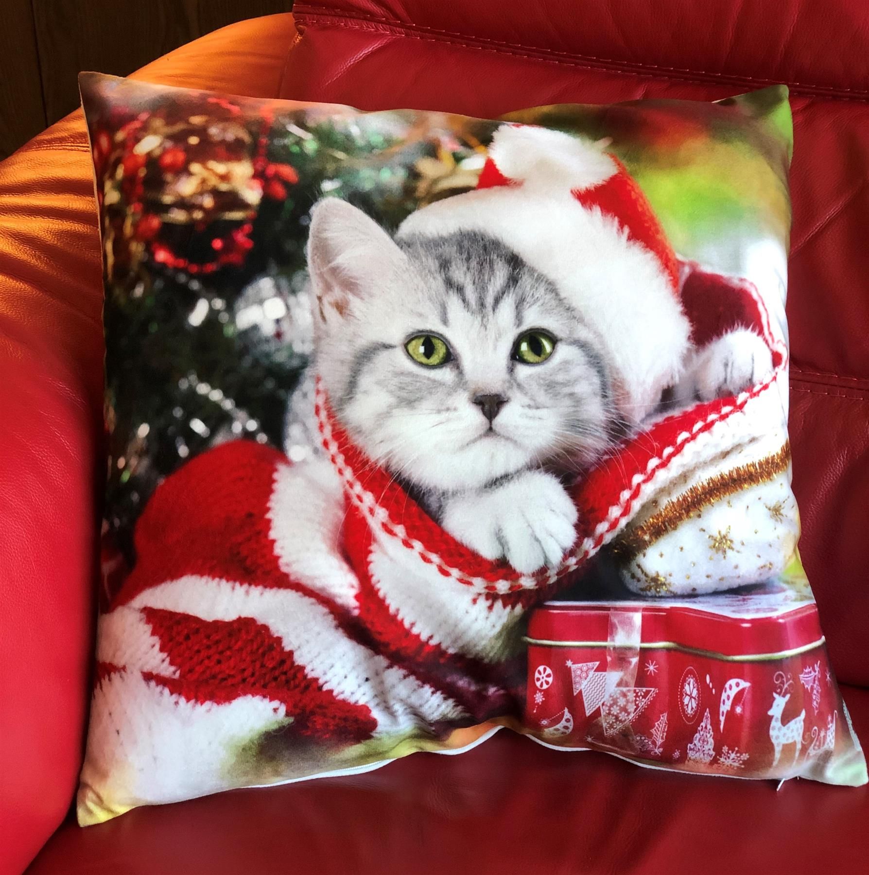Luxury Living Christmas Cat Decorative Cushion Cover 45cm x 45cm in Red