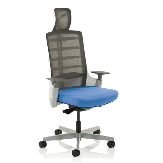 Exo Charcoal Grey Back Office Chair With Stevia Blue Seat