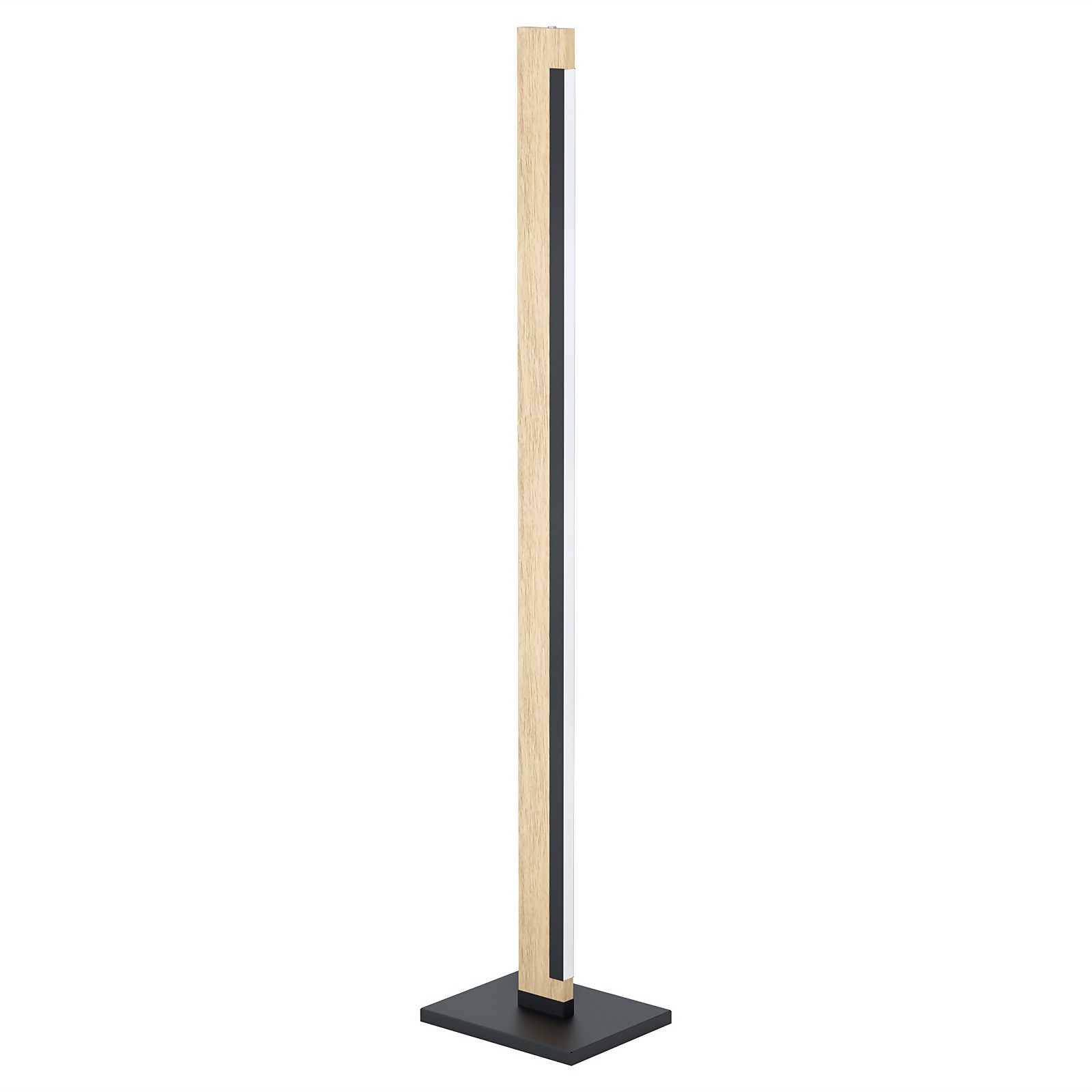 Eglo Camacho LED Floor Lamp