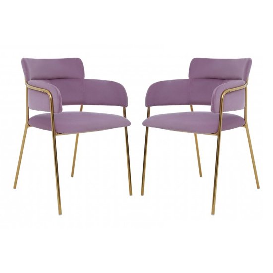 Tamzo Pink Velvet Dining Chairs And Gold Legs In Pair