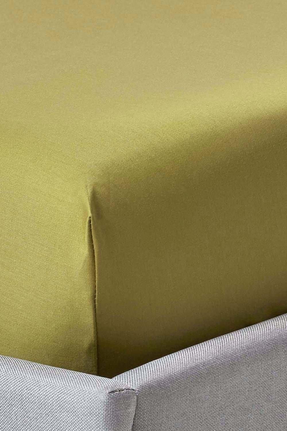 Homescapes Egyptian Cotton Fitted Sheet 12 inch 1000 Thread Count in Olive