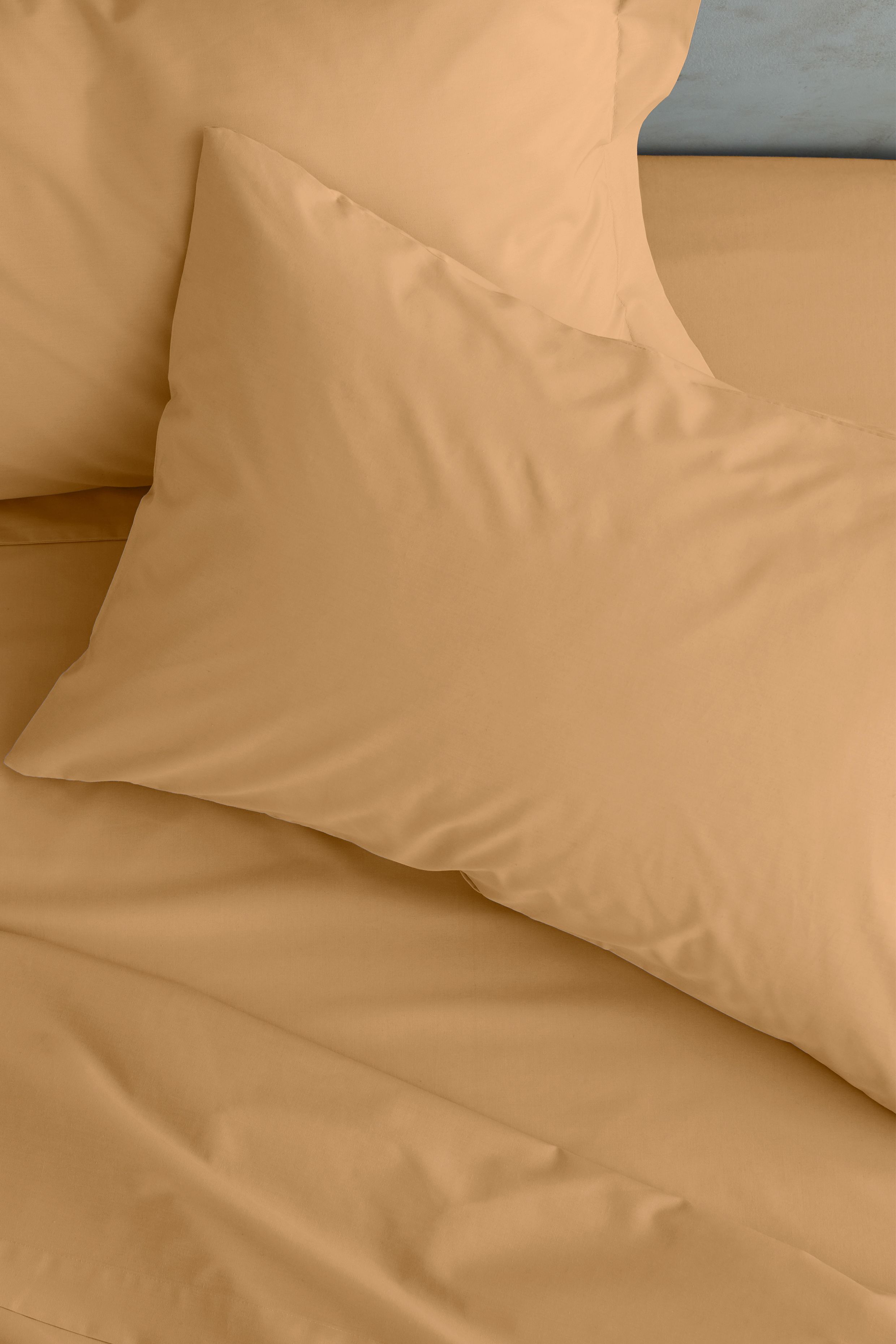 Catherine Lansfield 'Easy Iron Percale' Standard Pillowcase Pair in Camel