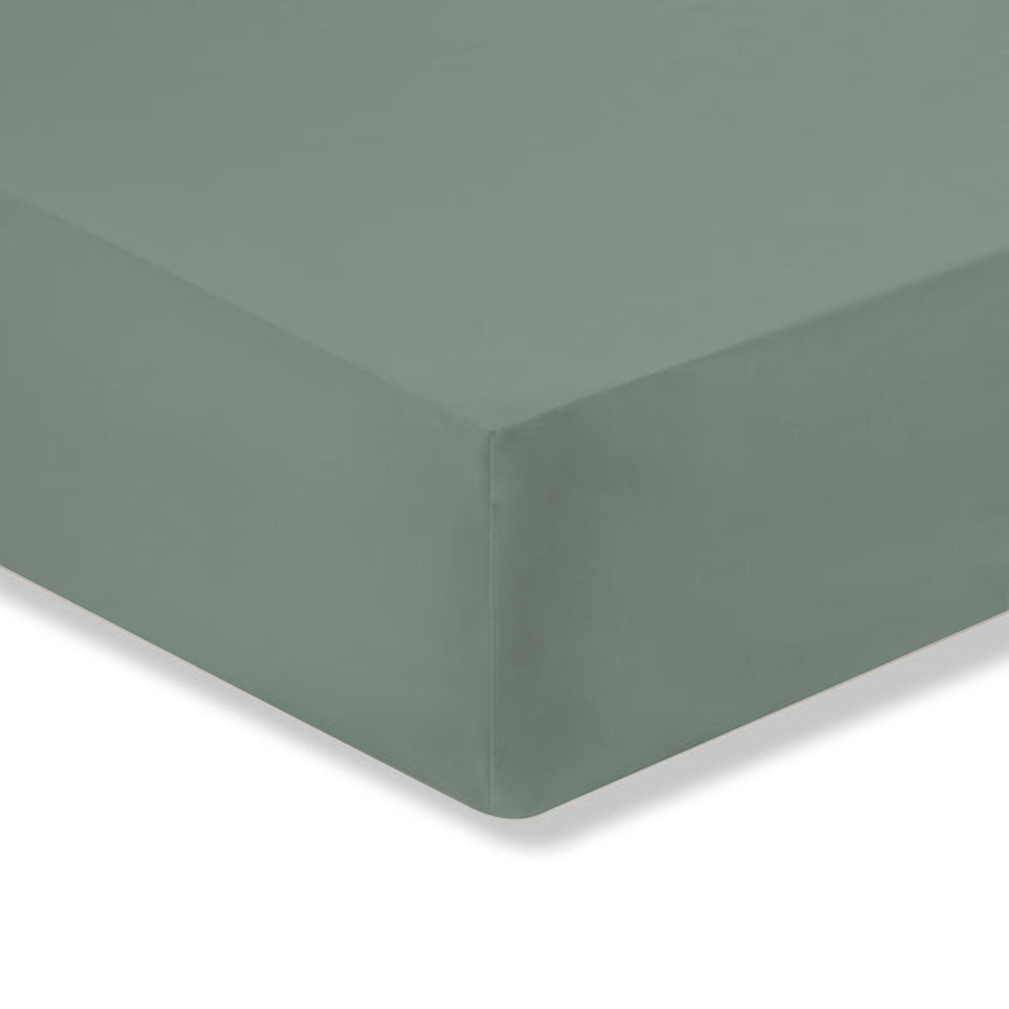 Plain 180 Thread Count Cotton Comfort Fitted Sheet Lilypad