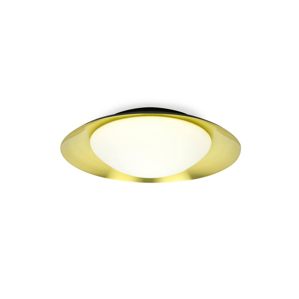 Netlighting Side LED Indoor Medium Flush Wall Light Black Gold