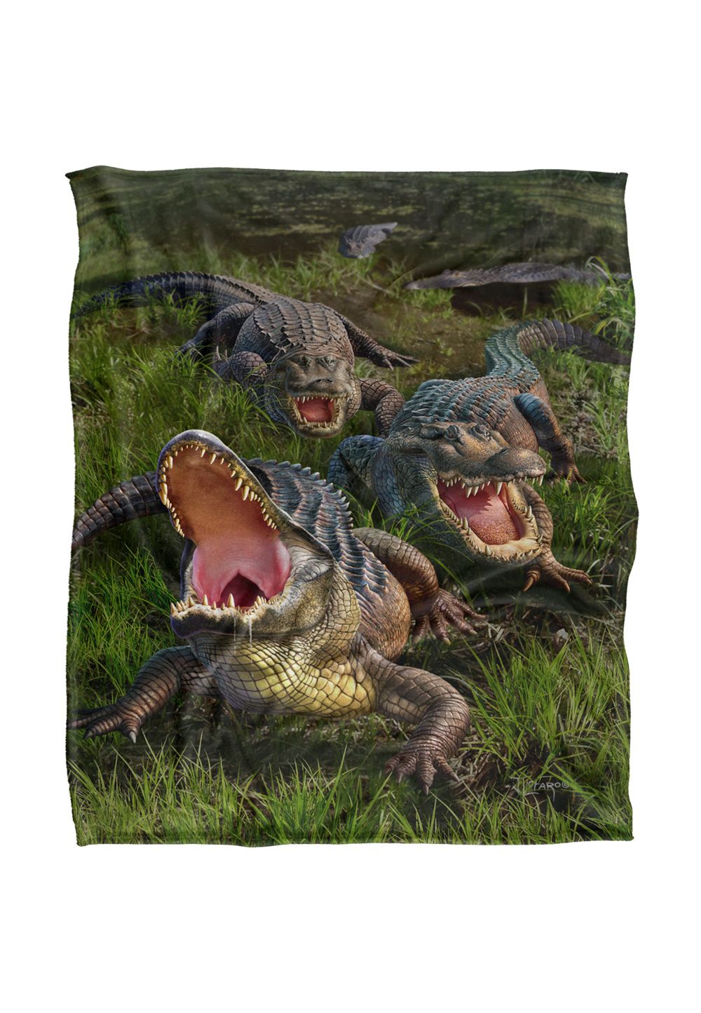 JQ Licensing Jlo Alligators Silky Touch Super Soft Throw Blanket 152 X 127 cm in White