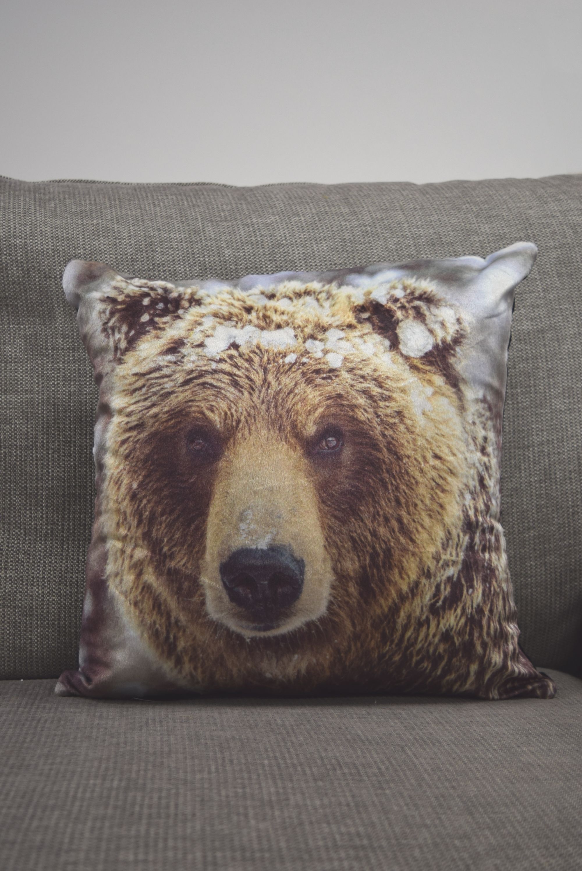 Rapport Home Big Bear Polyester Cushion Cover (43x43) Multicolor