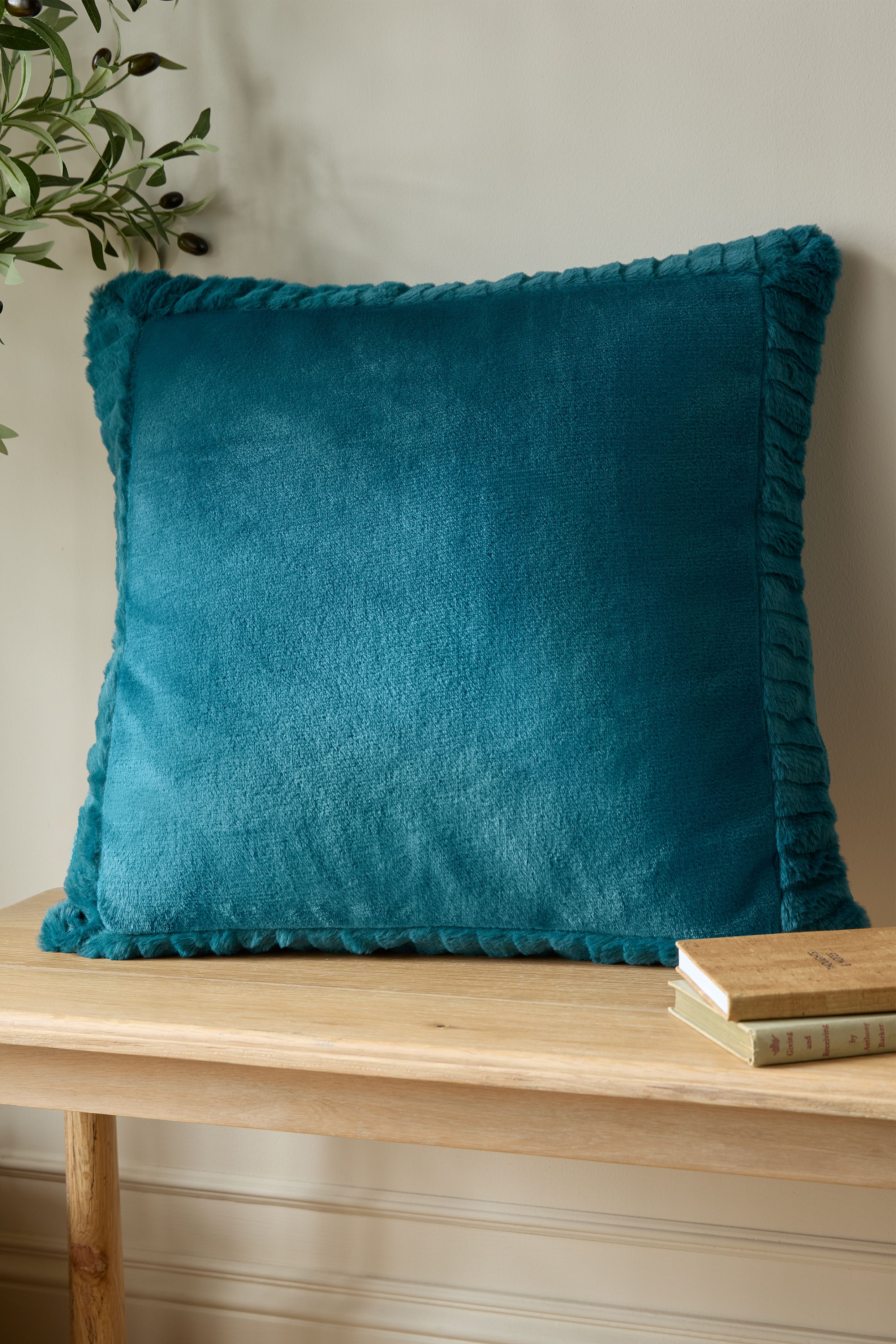 Catherine Lansfield 'Velvet & Faux Fur' 55x55cm Cushion in Teal