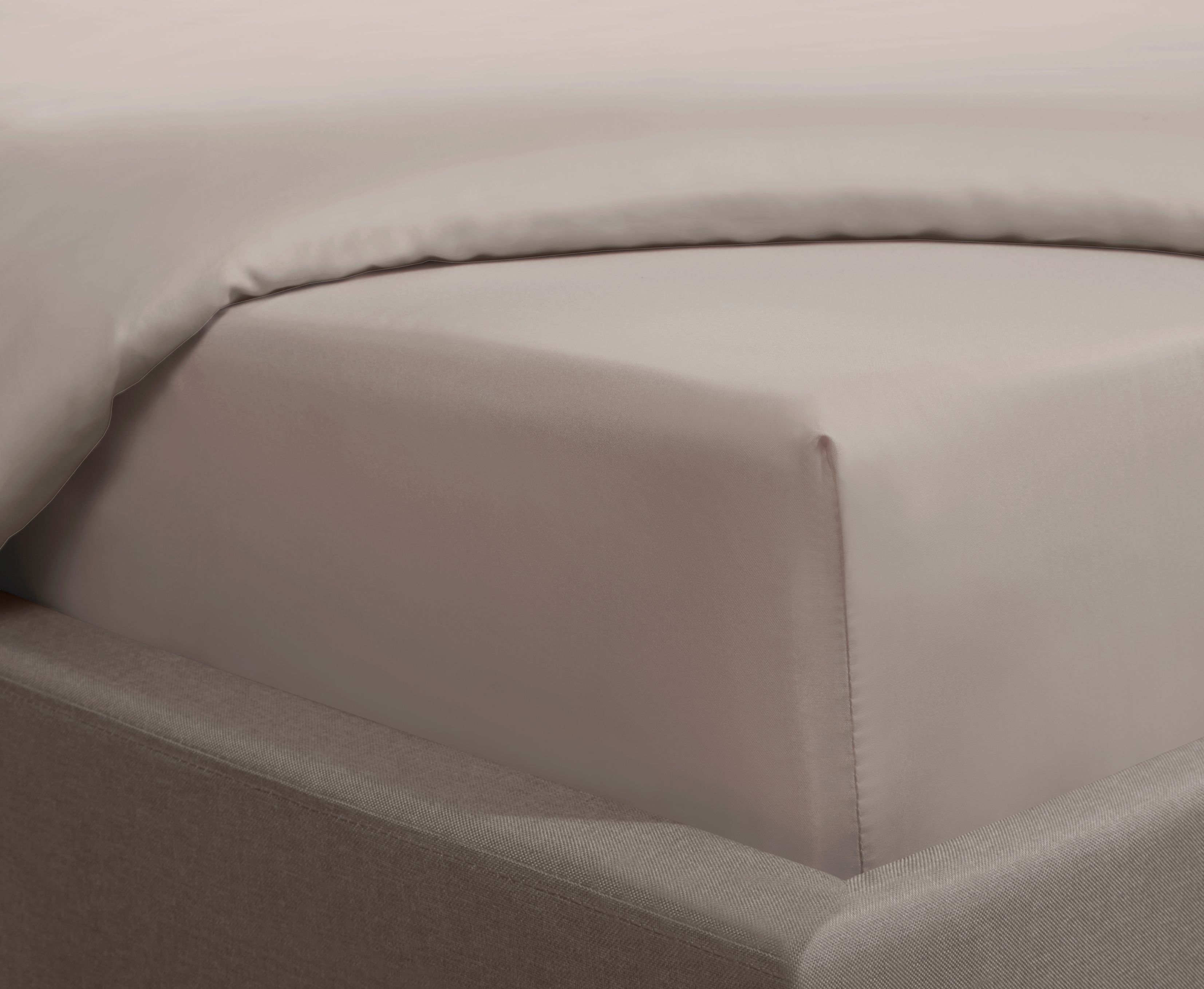 Smart Living Luxurious 300 Thread Count 100% Cotton Sateen Anti-Allergy Fitted Sheet in Beige