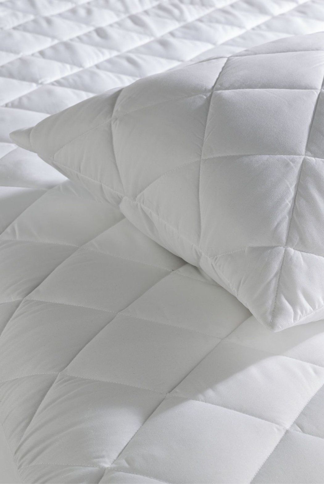 Ezysleep Quilted Protector with Pillow Protector Cases Set in White