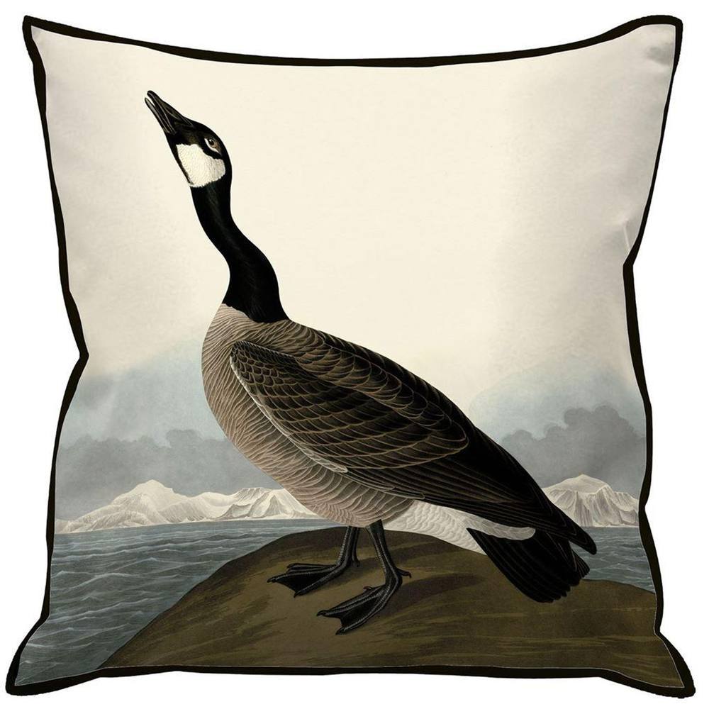 John James Audubon Hutchin Barnacle Goose Filled Cushion in Black