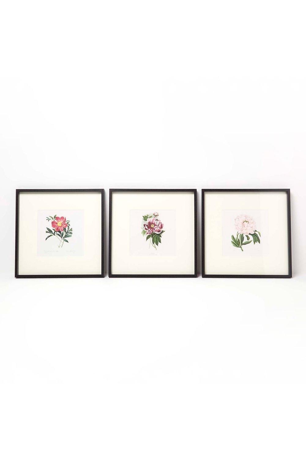 Homescapes Wall Decoration Set of 3 Frames with Picture, Peonies