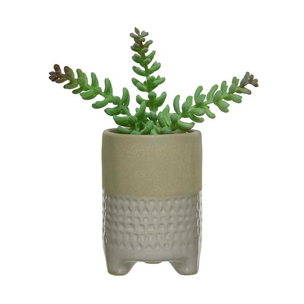 Medium White Pot Plant